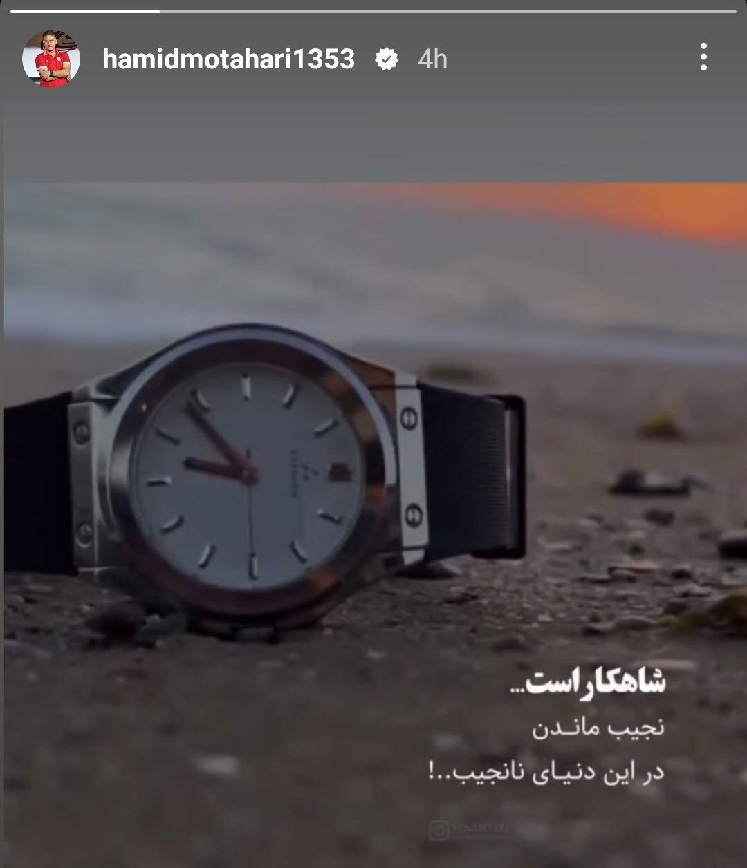 مطهری پشت گل محمدی در آمد مطهری پشت گل محمدی در آمد