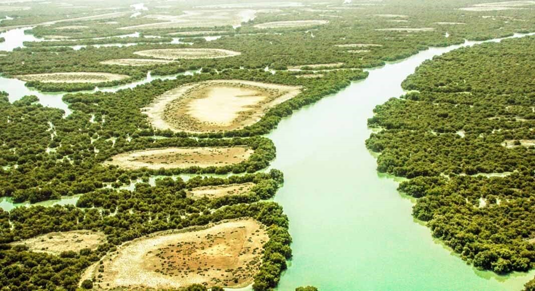 آیا می‌توان به‌صورت اقتصادی به جزیره قشم سفر کرد؟