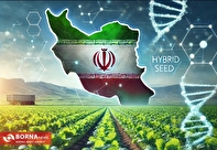 بذر چغندر قند ایرانی، موفقیت جدید در صنعت کشاورزی/ صرفه‌جویی ارزی ۳ میلیون یورویی با خودکفایی در تولید بذر‌های هیبرید