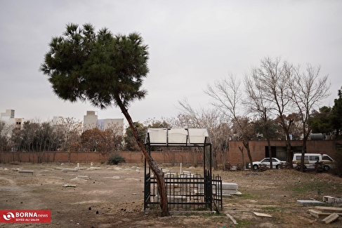 مهمانی لاله ها در آرامستان کلیمیان تهران