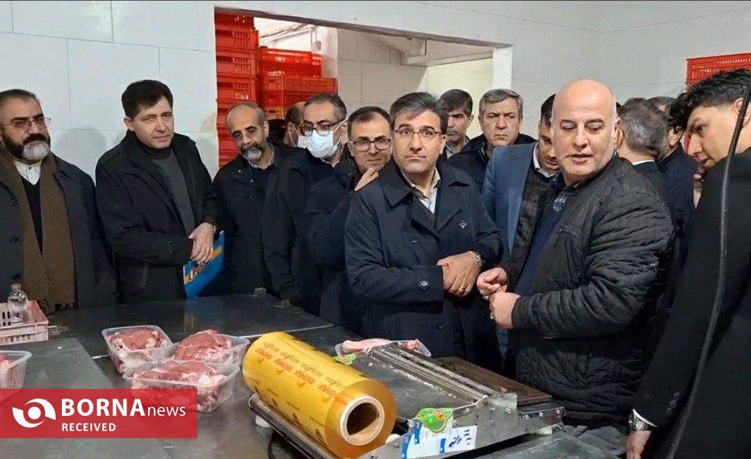 بازدید معاون استاندار تهران از واحد‌های تولیدی و کشاورزی در شهرستان ملارد