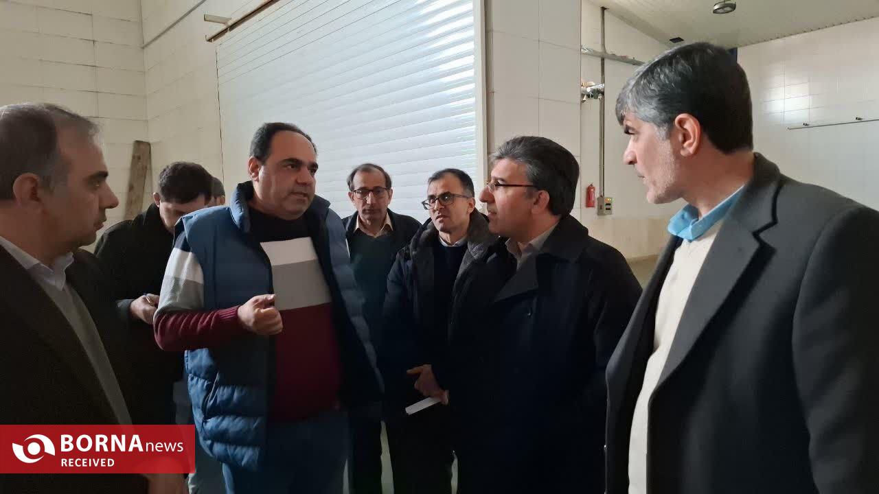 بازدید معاون استاندار تهران از واحد‌های تولیدی و کشاورزی در شهرستان ملارد