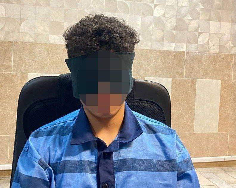 عاملان قتل امیر محمد خالقی، سارقان تازه کار بودند