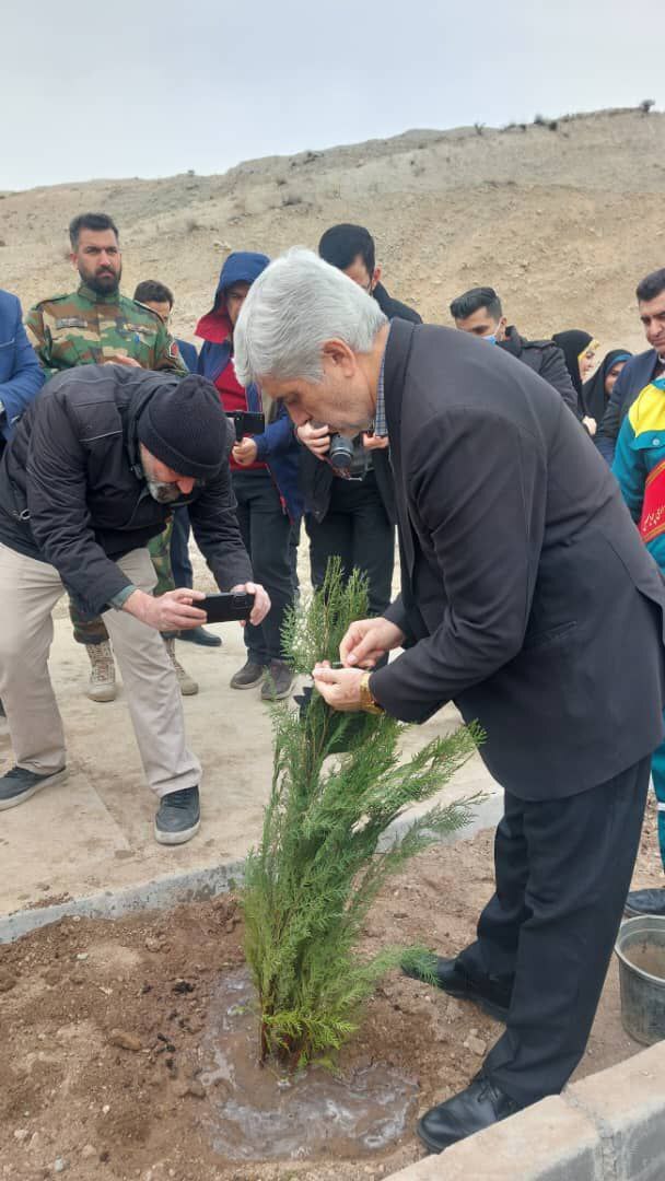 توزیع ۱۵ هزار اصله نهال در پردیس از هفته آينده توزیع ۱۵ هزار اصله نهال در پردیس از هفته آينده