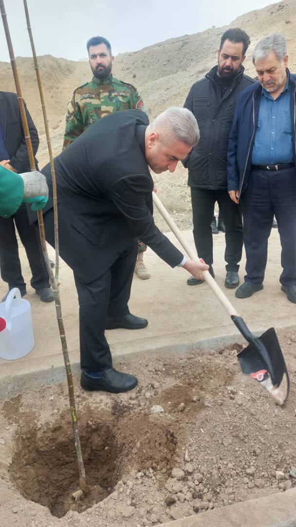 توزیع ۱۵ هزار اصله نهال در پردیس از هفته آينده توزیع ۱۵ هزار اصله نهال در پردیس از هفته آينده