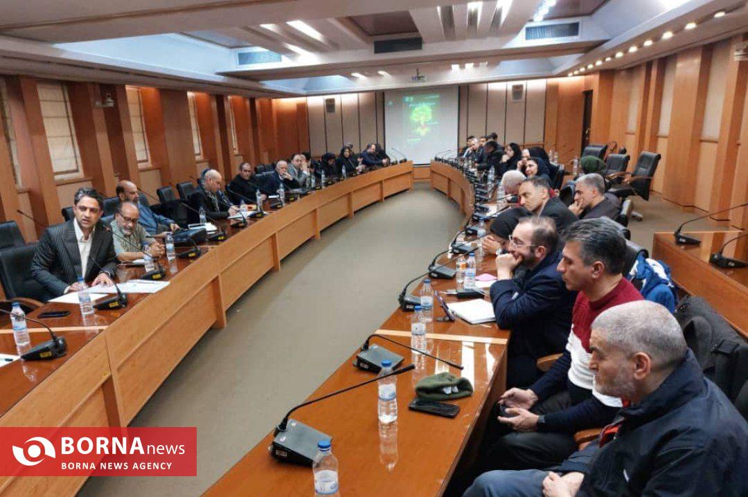 حمایت دستیار اجتماعی رئیس جمهور از برنامه‌های انجمن حفاظت از اسب کاسپین