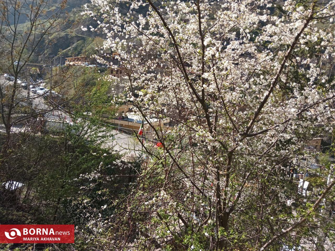 ماسوله شهرک پلکانی ماسوله شهرک پلکانی