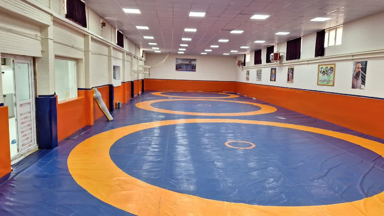 شهرستان تاکستان با 9454 ورزشکار بیمه شده و زیرساختهای مناسب قطب ورزش استان قزوین است