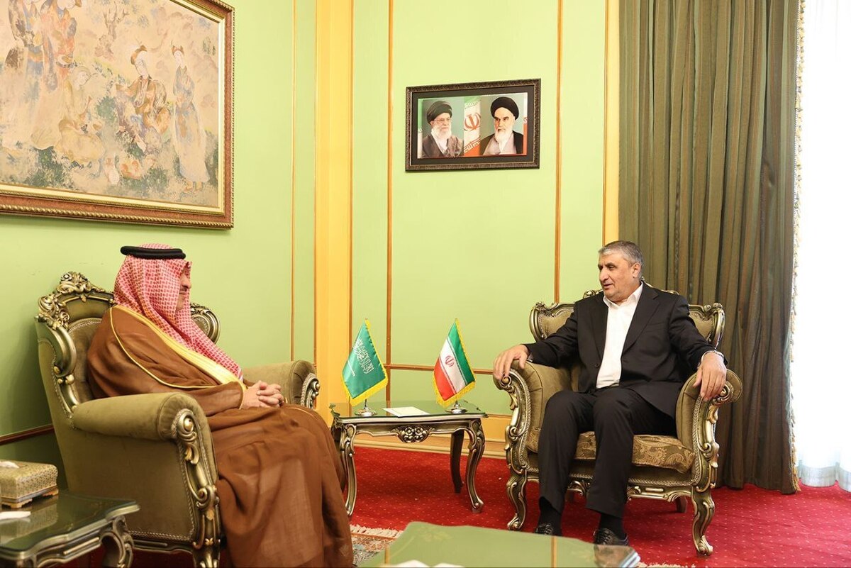 دیدار رییس سازمان انرژی اتمی با سفیر عربستان سعودی