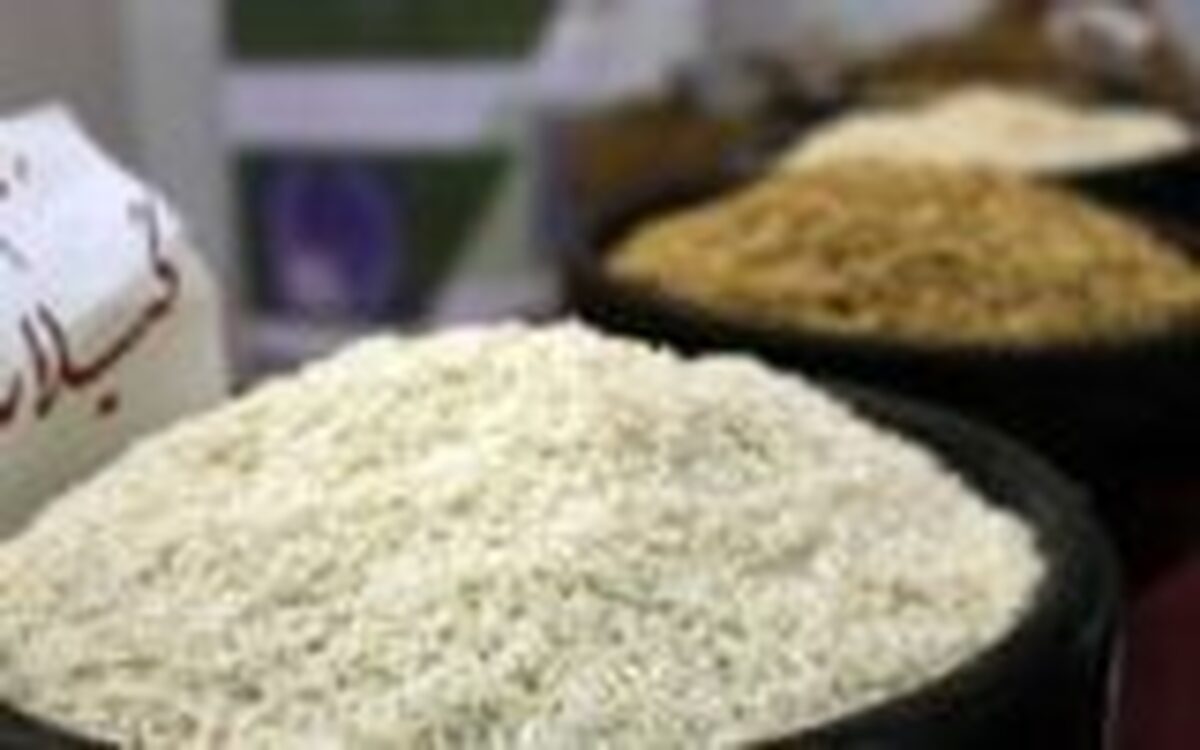 دبیر انجمن تولیدکنندگان و تأمین‌کنندگان برنج ایران خبر داد: بازگشت دلالان به بازار با توقف طرح خرید برنج توسط بخش خصوصی