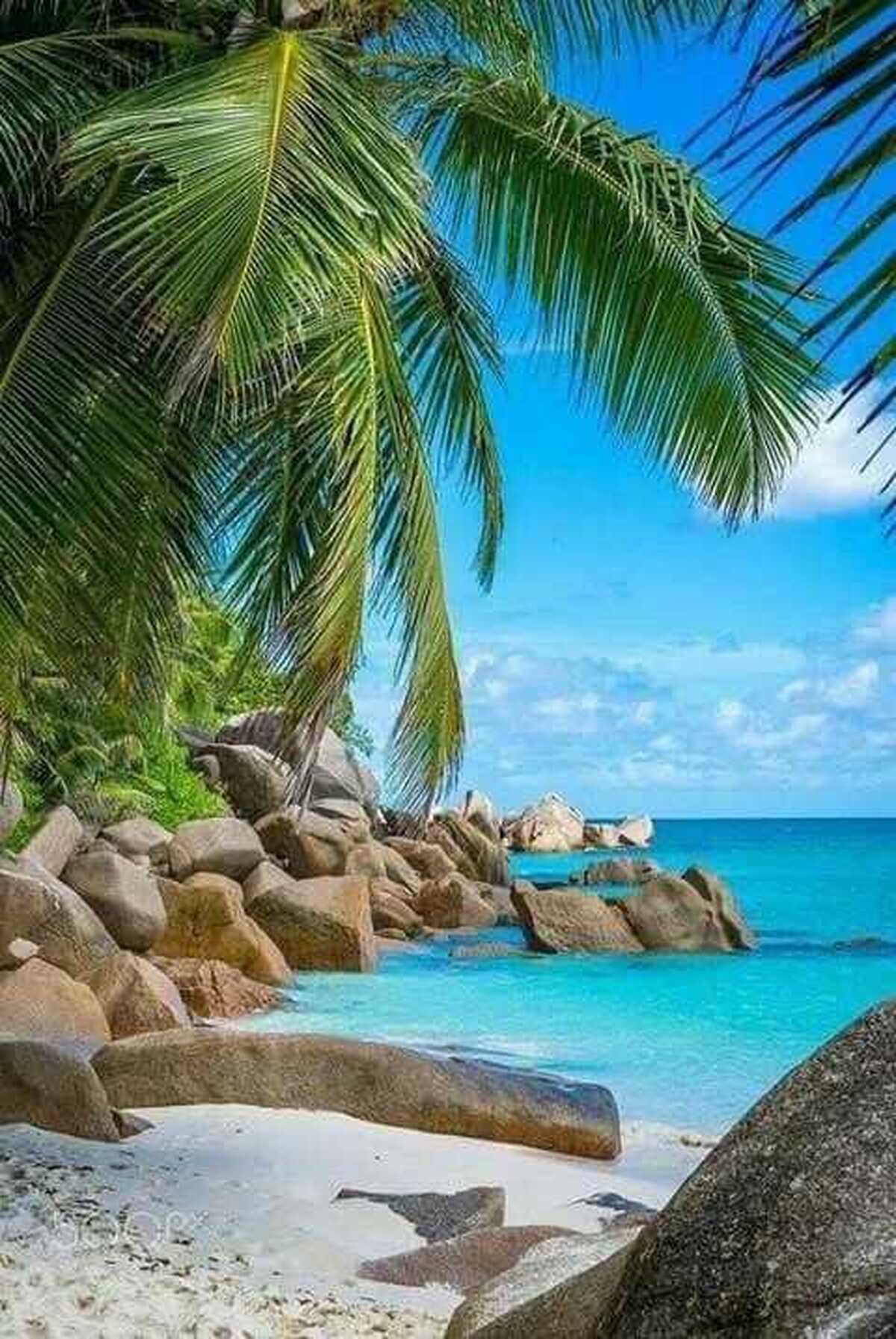 خوشبخت‌ترین انسان دنیا که هر عکس آرزو دارد جای او باشد! + عکس رویایی