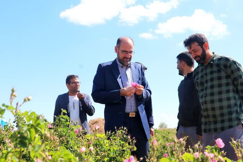 دومین جشنواره گل محمدی روستای خوزنین شهرستان بوئین زهرا دومین جشنواره گل محمدی روستای خوزنین شهرستان بوئین زهرا