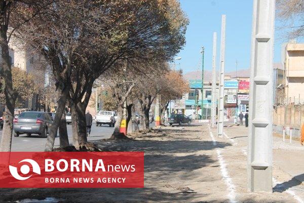 تکرار تراژدی تلخ قطع درختان کهن‌سال در نهاوند؛ این بار میدان مادر