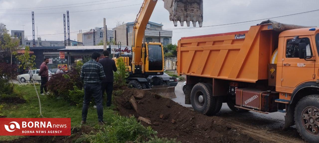 تکرار تراژدی تلخ قطع درختان کهن‌سال در نهاوند؛ این بار میدان مادر