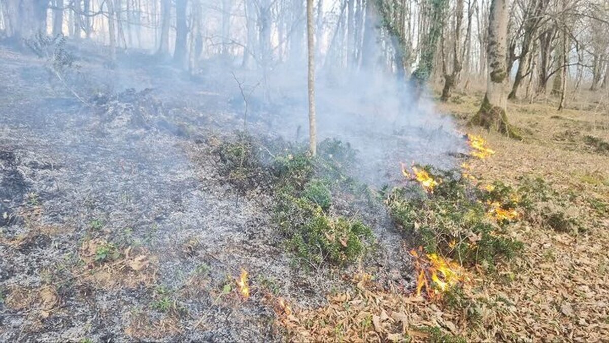 جلوگیری از وقوع آتش سوزی در اراضی جنگلی سرخه حصار و خجیر