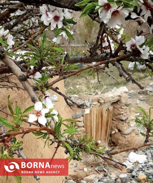 «مزده»، بهشتی در قلب کوهستان کرکس////