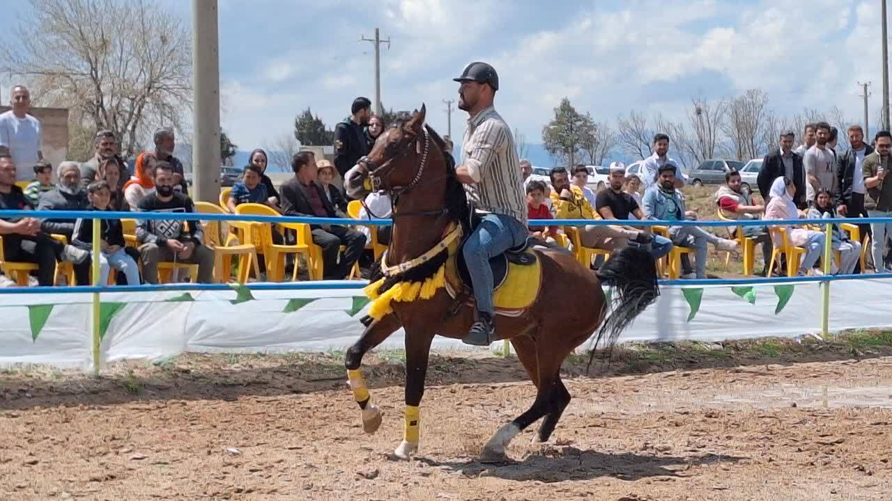 سرپرست هیئت سوارکاری قزوین با رئیس فدراسیون دیدار و گفتگو کرد