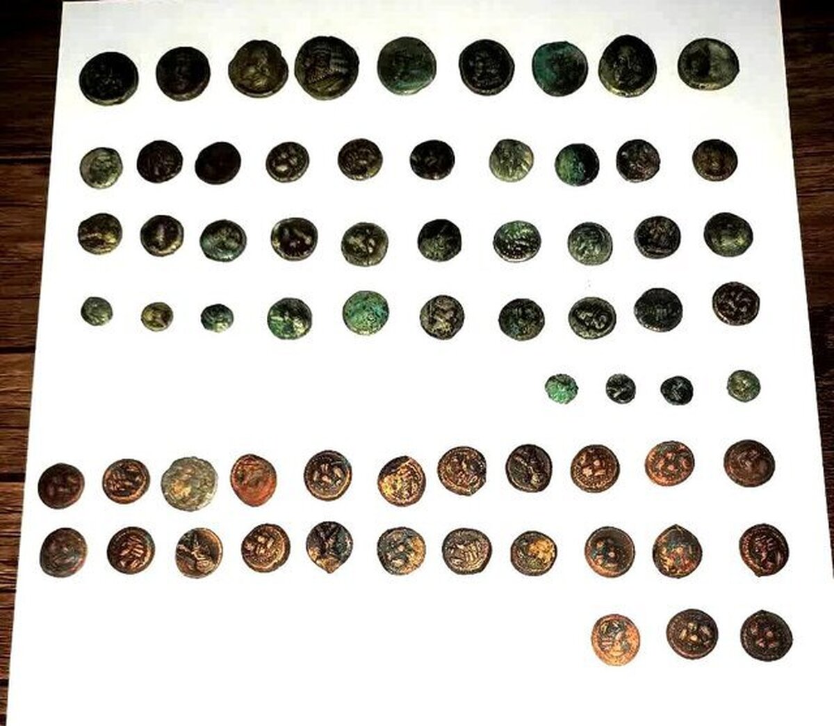۶۸ سکه دوره اشکانی در شهرستان فسا کشف شد