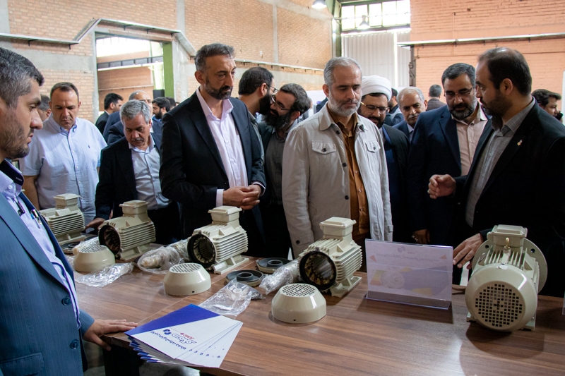 افزایش ضریب امنیت غذایی ایرانیان با خودکفایی در تولید لاین مرغ آمین 