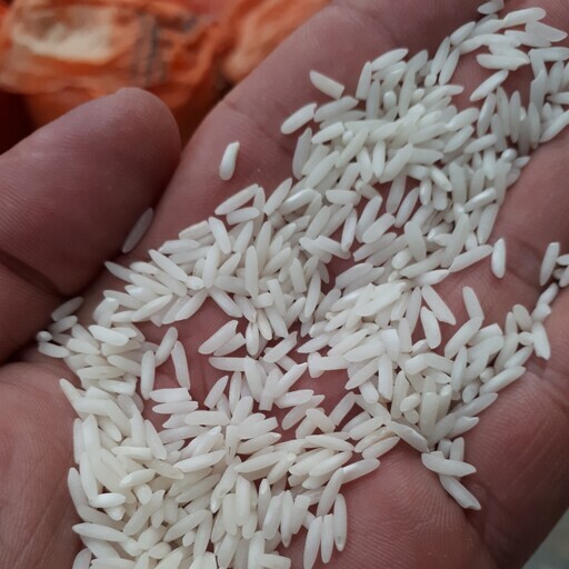 سیگنال افزایش قیمت واردکنندگان برنج به بهانه نیاز به واردات