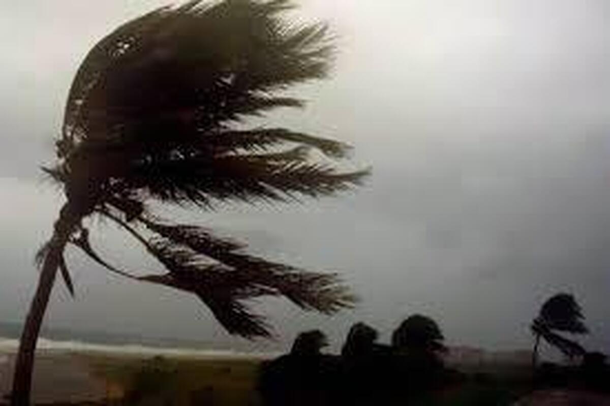 سرعت باد در بعضی از مناطق استان ایلام به ۸۰ کیلومتر بر ساعت رسید