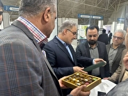 معاون اقتصادی وزیر کشور: زنجیره ارزش راهبردی خرمای خوزستان یکی از نقاط قوت نمایشگاه ایران اکسپو ۲۰۲۴ است