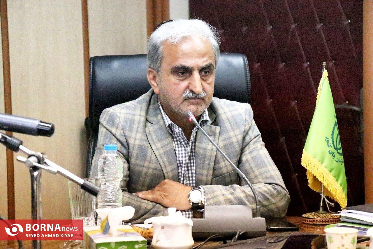 استاندار گیلان: ورود هرگونه چای سنواتی به بازار مصرف ممنوع است