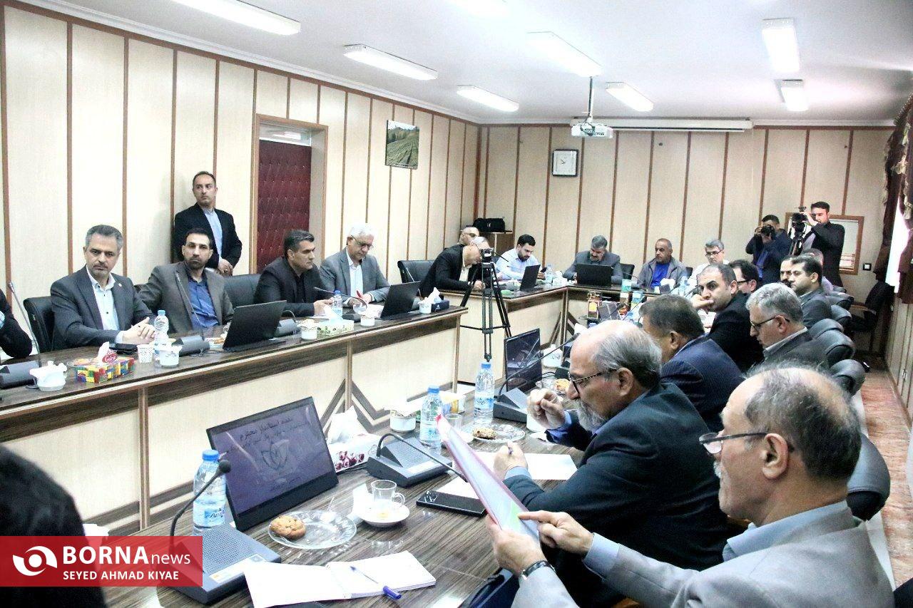 استاندار گیلان: ورود هرگونه چای سنواتی به بازار مصرف ممنوع است