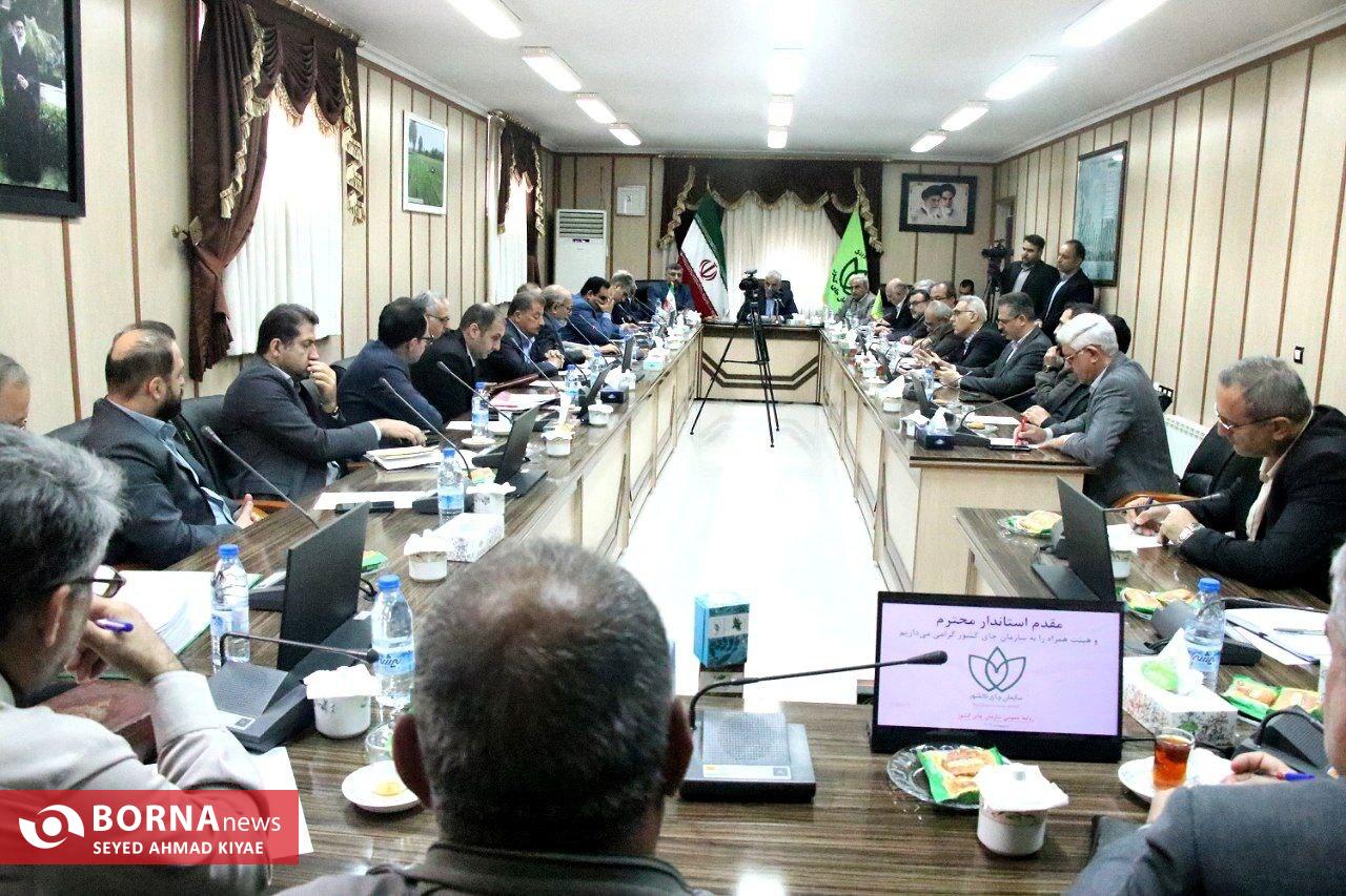 استاندار گیلان: ورود هرگونه چای سنواتی به بازار مصرف ممنوع است