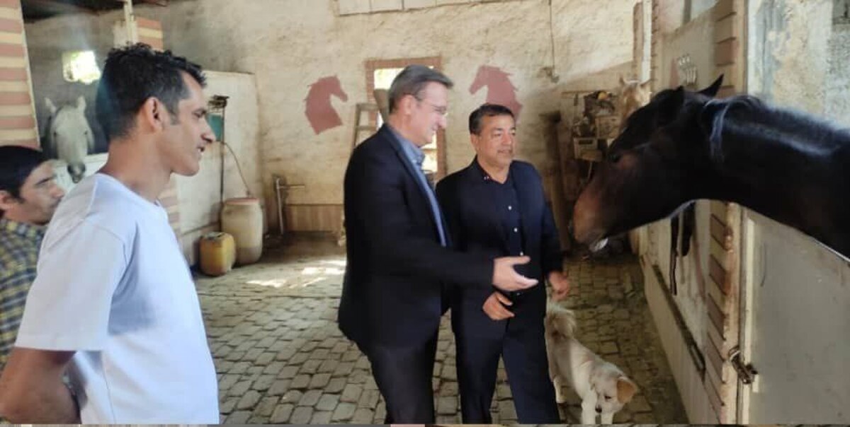 حمایت فدراسیون از تولیدکنندگان و پرورش دهندگان اسب‌های ترکمن 