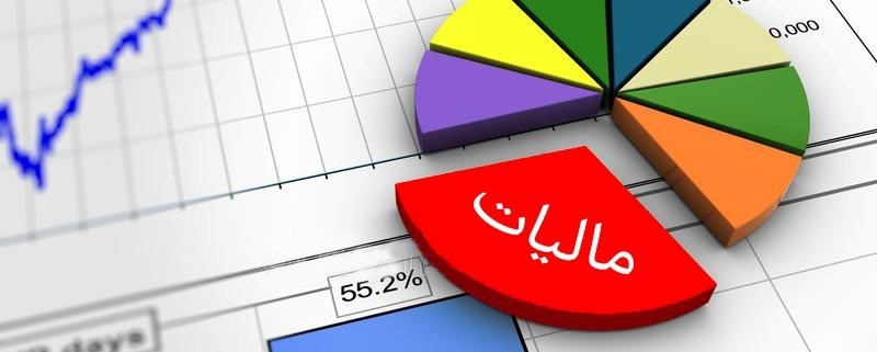 ملک زاده: رفاه عمومی و توسعه کشور و افزایش رفاه در جامعه با اخذ مالیات محقق می شود