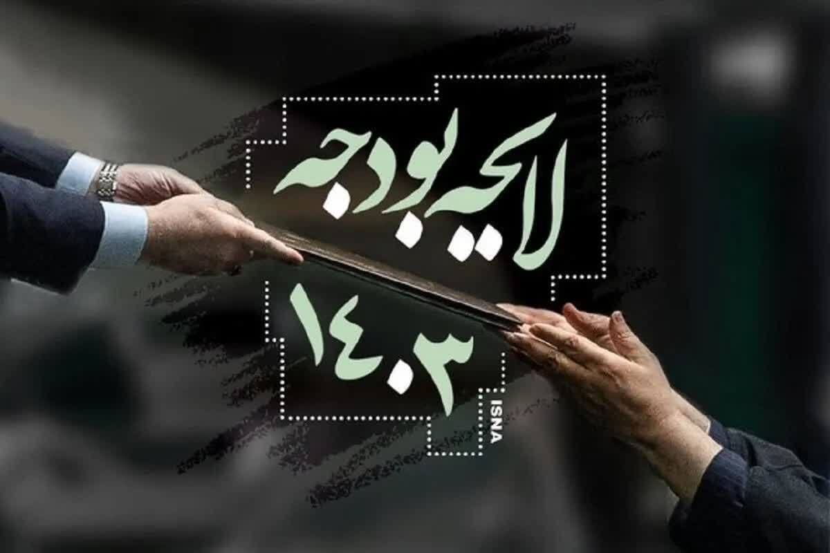 توسعه عدالت اجتماعی در بودجه ۱۴۰۳ به همت دولت سیزدهم