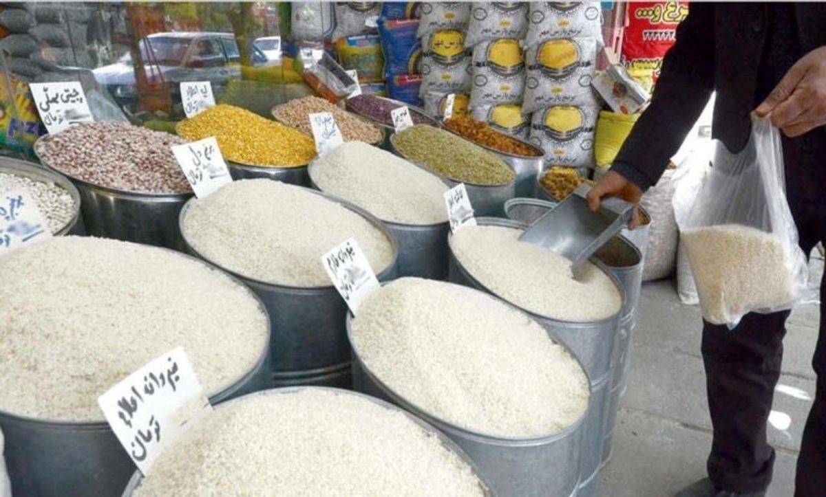 سه برابر نیاز کشور برنج وارد کردند تا برنج ایرانی نابود شود