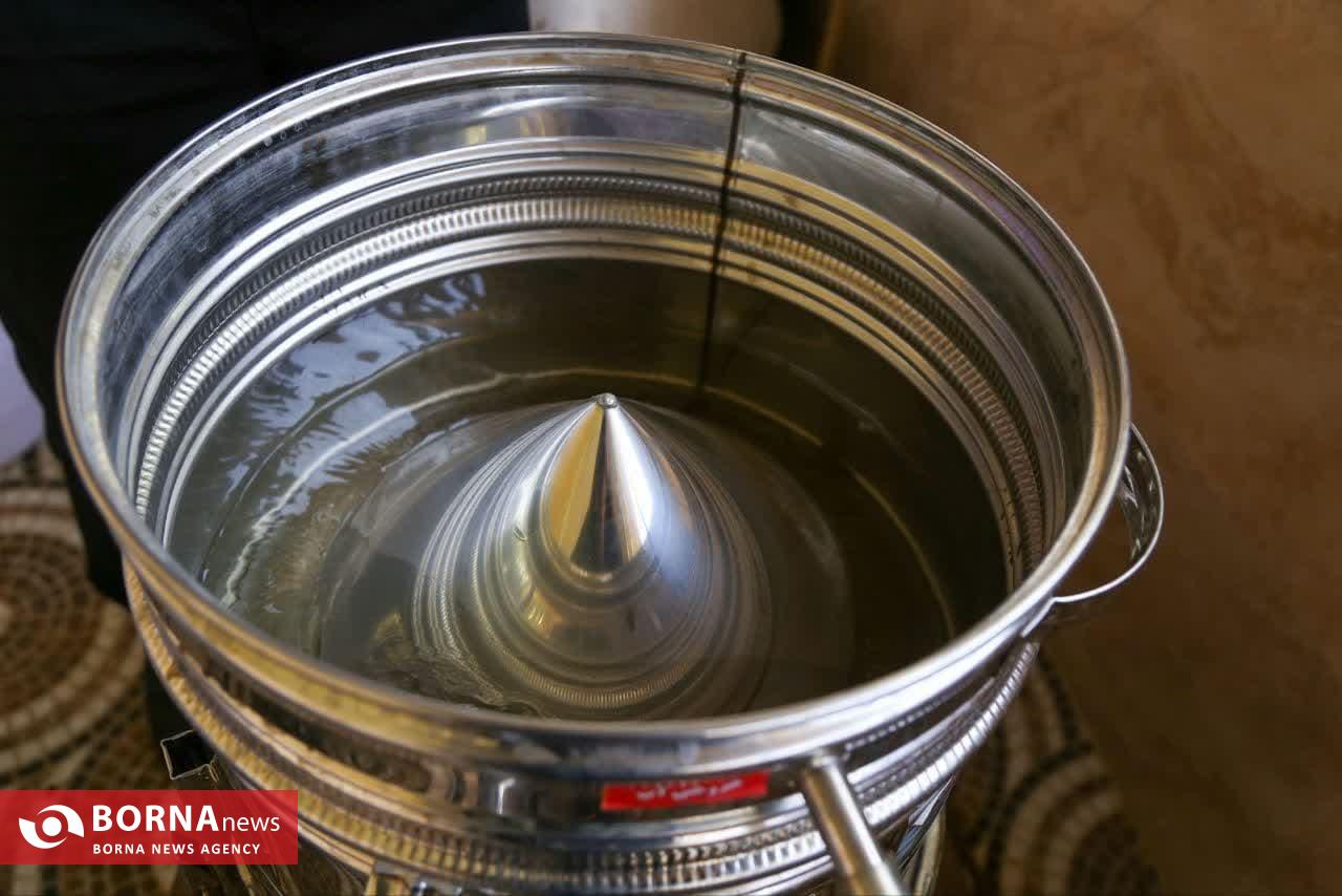 موسم گل و گلاب در روستای گیلده شفت