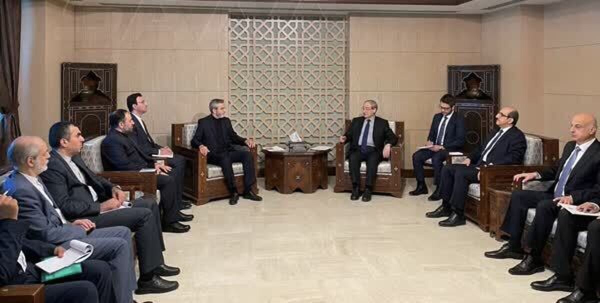 دیدار باقری‌کنی با وزیر خارجه سوریه
