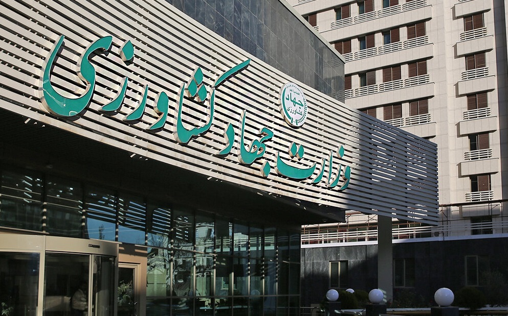 صادرات تدریجی ۱۲ هزار تن گوشت مرغ در ۳ ماه اخیر