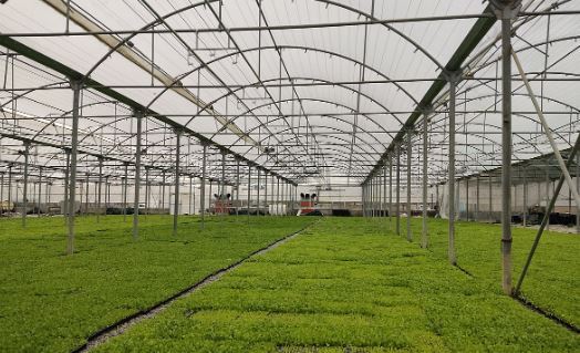 50 طرح کشاورزی در استان قزوین افتتاح می شود 50 طرح کشاورزی در استان قزوین افتتاح می شود