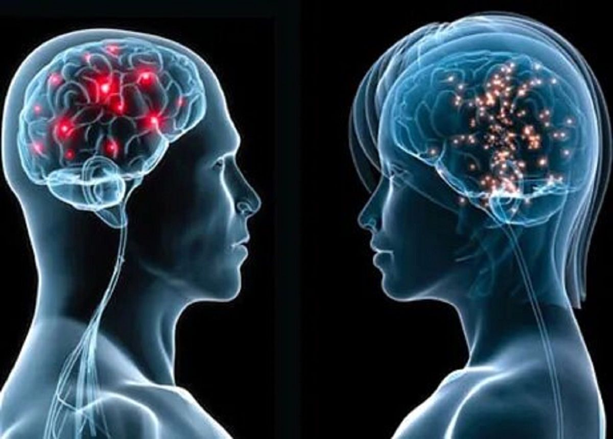 تفاوت عجیب مغز زنان و مردان