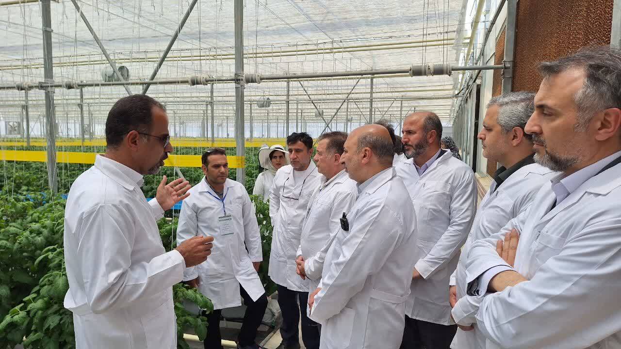 بزرگترین مجتمع تحقیقاتی گلخانه ای اصلاح و تولید بذرهای هیبرید دانش بنیان در استان قزوین به بهره برداری رسید