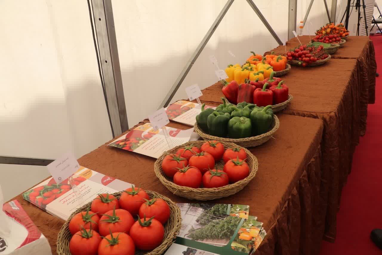 استان قزوین می تواند سهم بیشتری در تولید موادغذایی کشور به خود اختصاص دهد