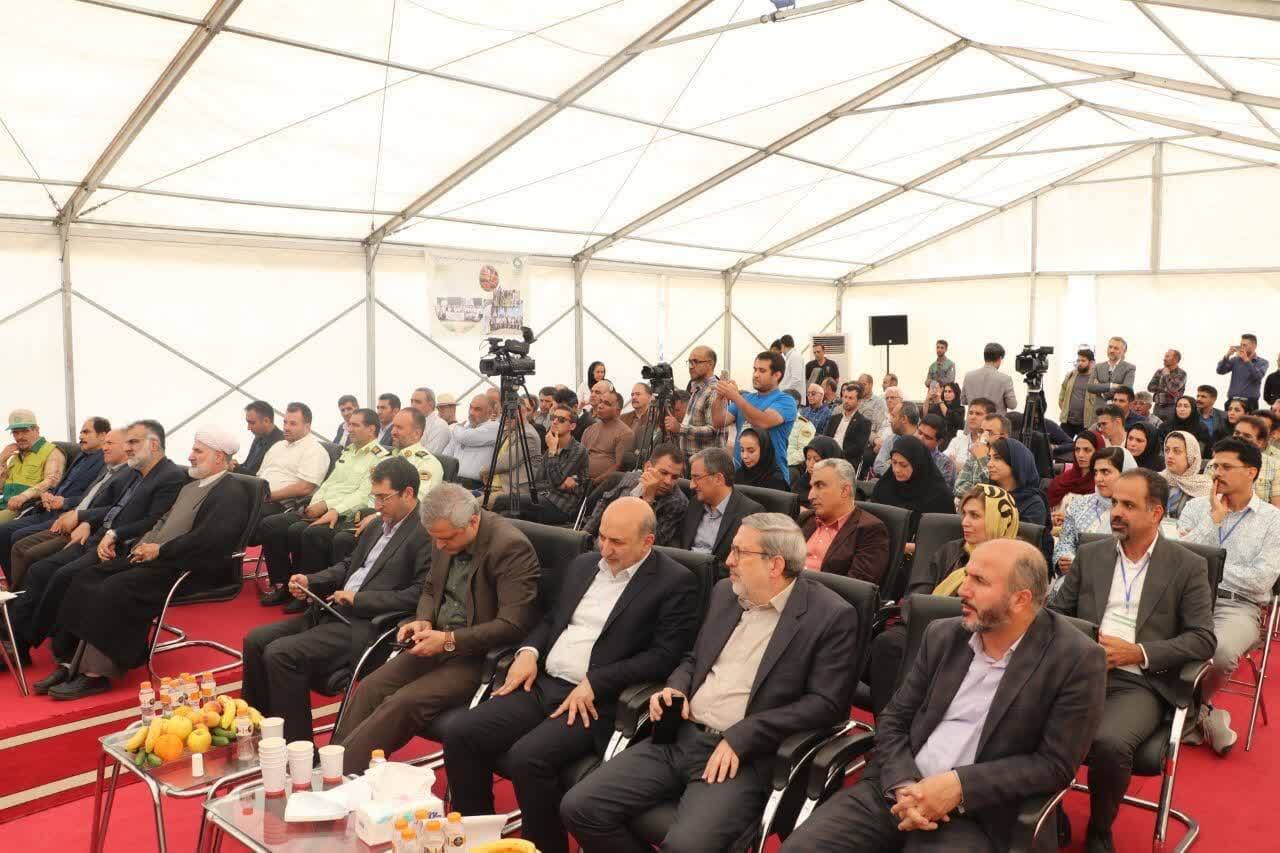 ۹۸.۵ درصد بذرهای کشاورزی در داخل کشور تولید می شود