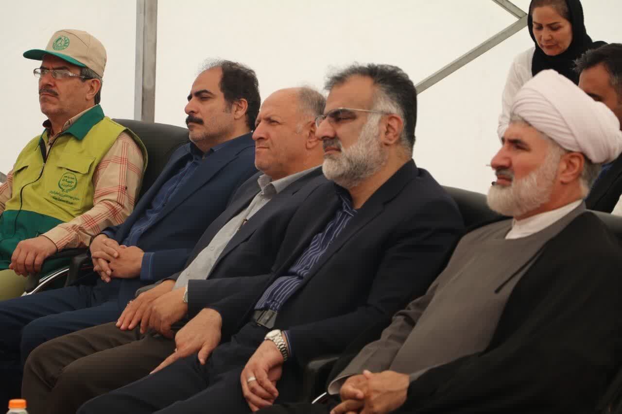 ۹۸.۵ درصد بذرهای کشاورزی در داخل کشور تولید می شود