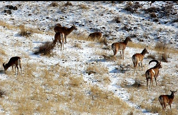 هیچ پروژه عمرانی در استان قزوین بدون تایید محیط زیست افتتاح نخواهد شد