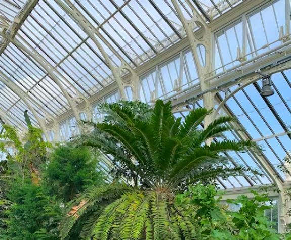 هوش مصنوعی راه حلی برای بحران جنسی تنهاترین گیاه جهان! هوش مصنوعی راه حلی برای بحران جنسی تنهاترین گیاه جهان!