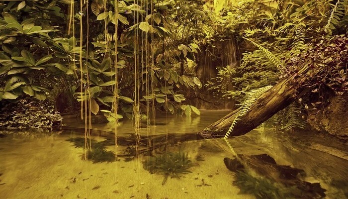 آکواریوم استانبول؛ بزرگترین آکواریوم موضوعی جهان