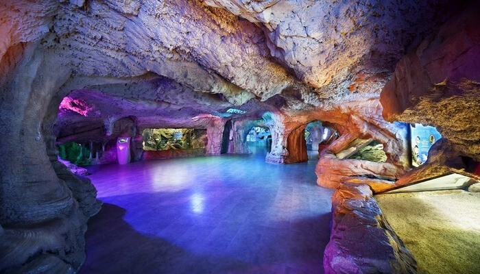 آکواریوم استانبول؛ بزرگترین آکواریوم موضوعی جهان