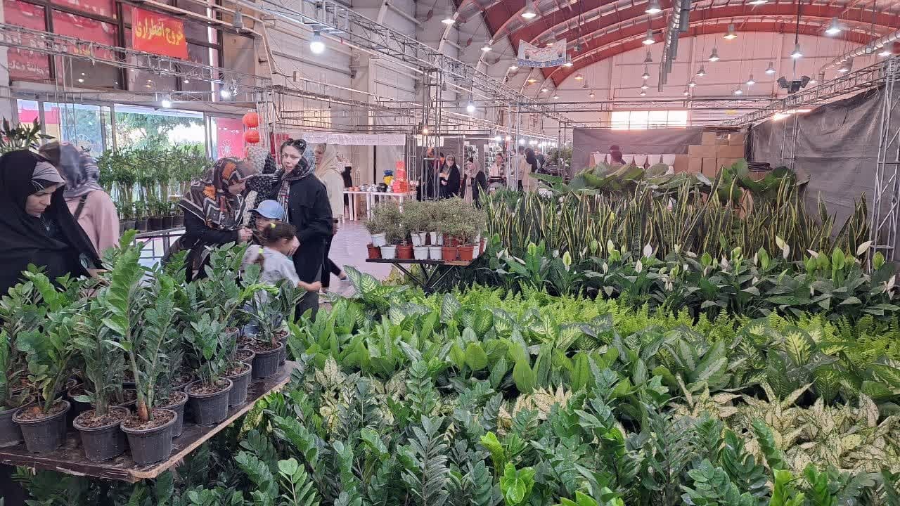 نمایشگاه گل و گیاه در قزوین گشایش یافت نمایشگاه گل و گیاه در قزوین گشایش یافت
