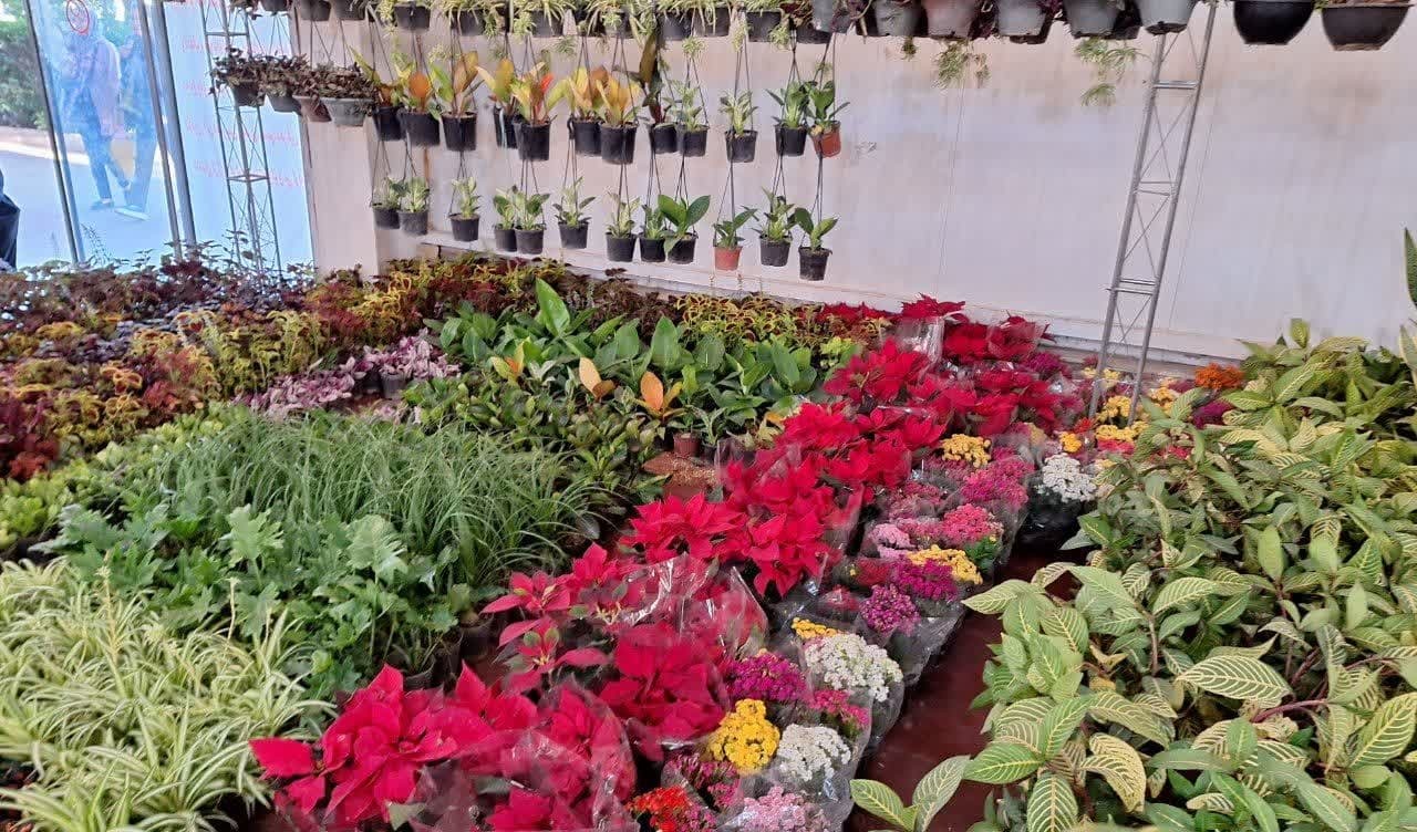 نمایشگاه گل و گیاه در قزوین گشایش یافت نمایشگاه گل و گیاه در قزوین گشایش یافت