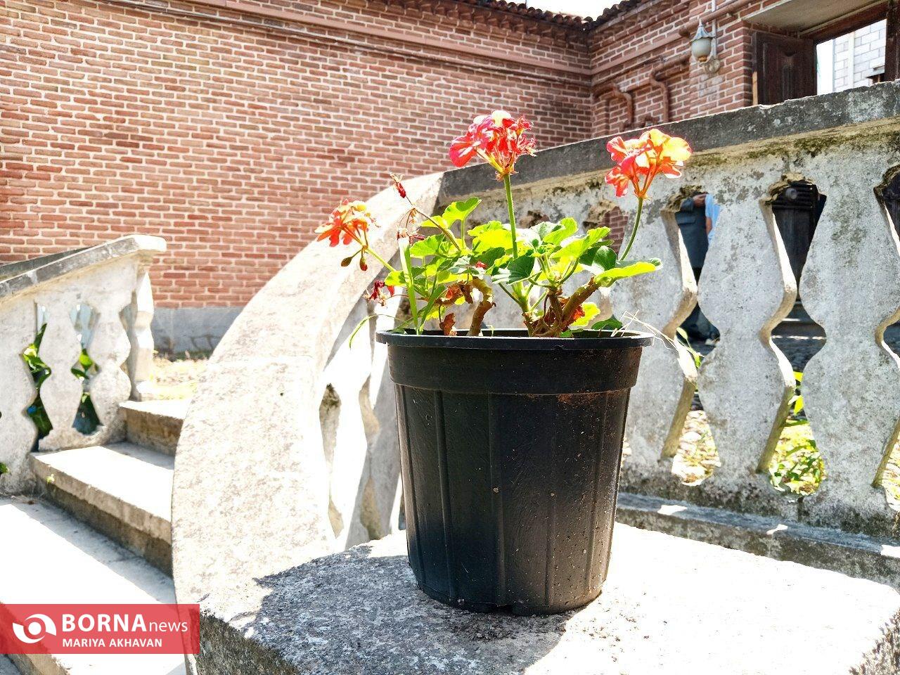 خانه تاریخی قدیری رشت خانه تاریخی قدیری رشت