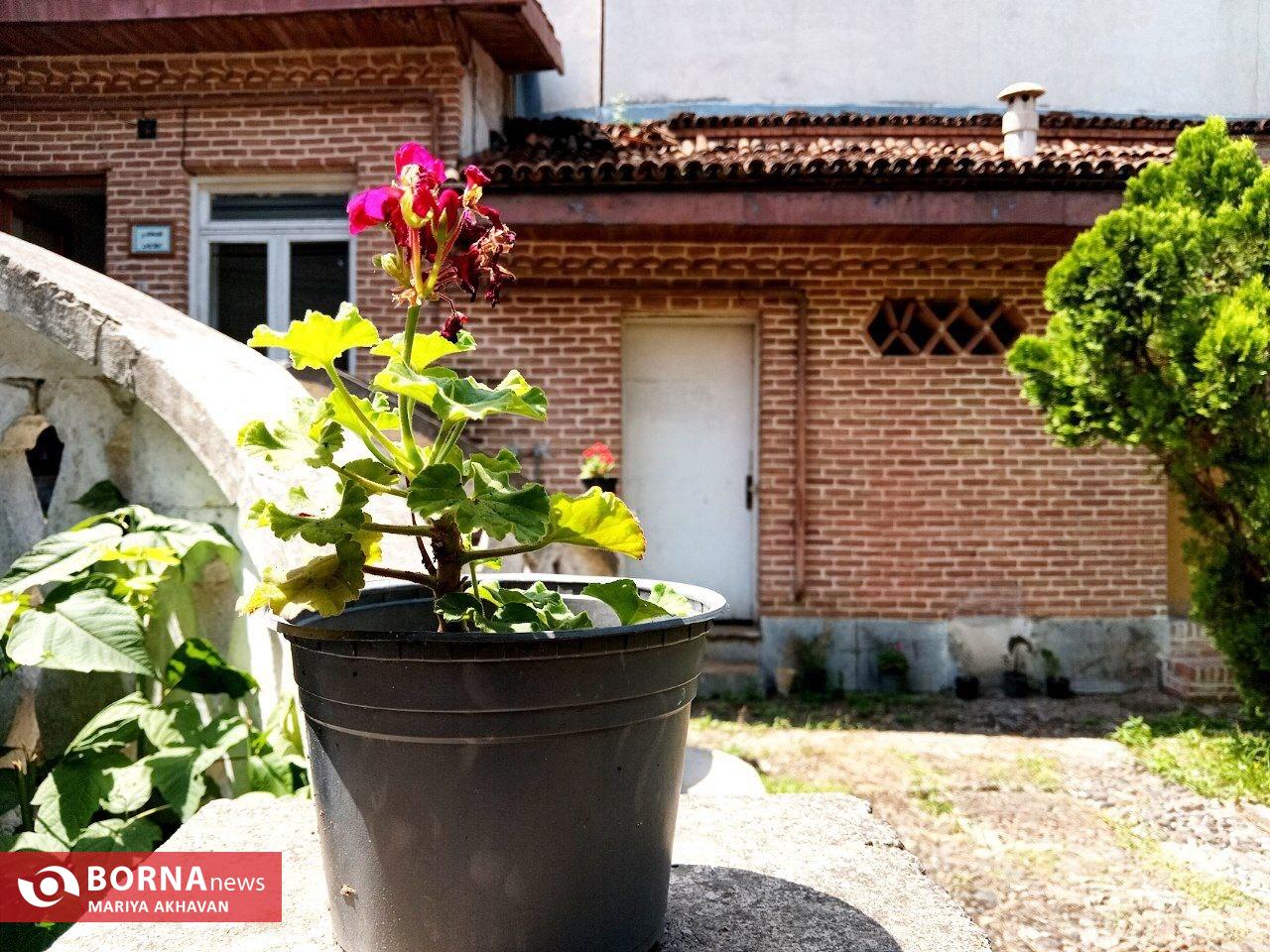 خانه تاریخی قدیری رشت خانه تاریخی قدیری رشت